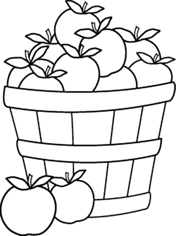 apples-in-harvest-basket-line-art-by-lee-hansen-hoch-best-place-to-color