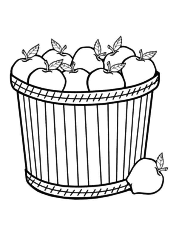 Bring A Lot Of Apple With Basket Coloring Pages
