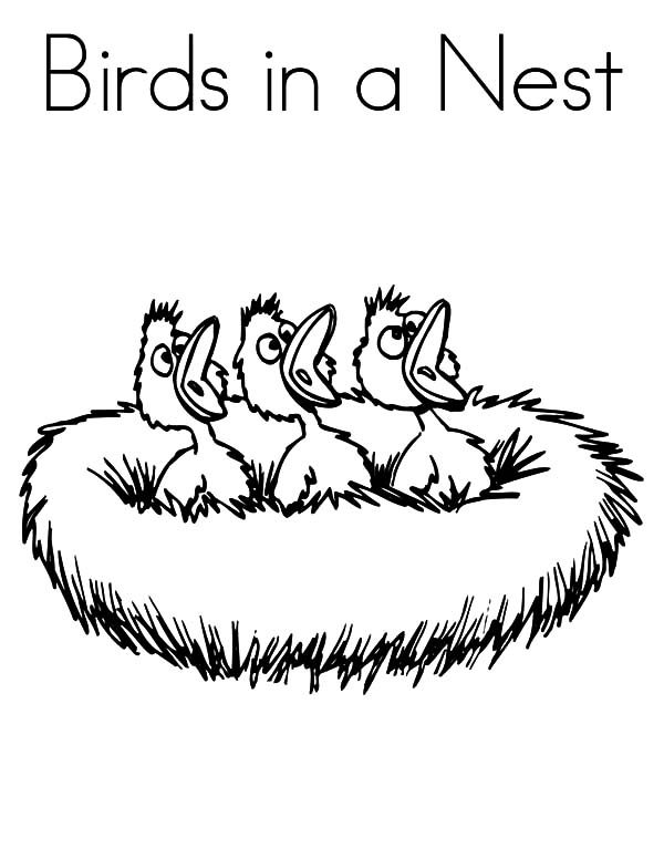 baby birds in a nest coloring pages - photo #27
