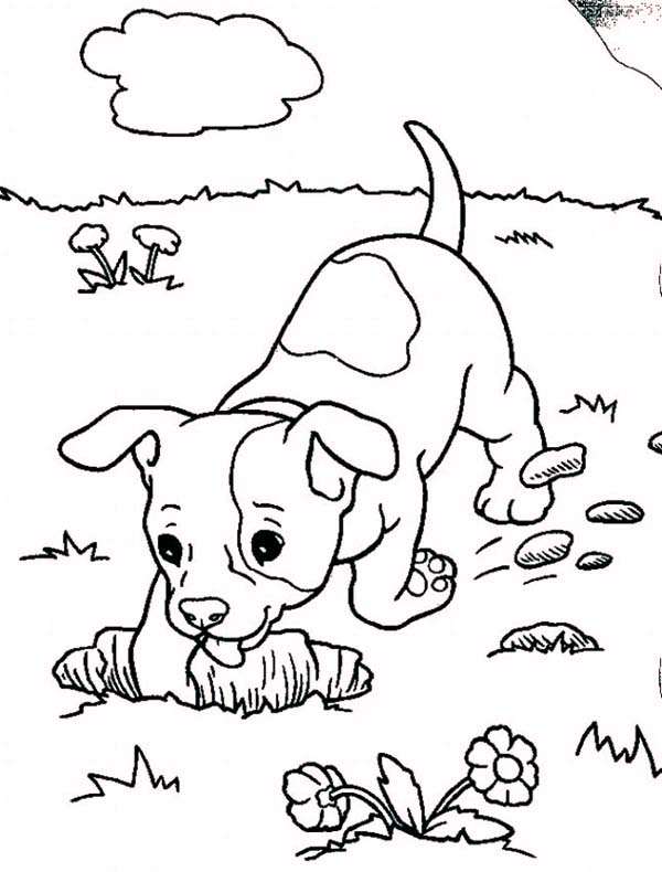 baby dog coloring pages - photo #34