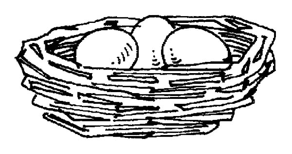 baby birds in a nest coloring pages - photo #45