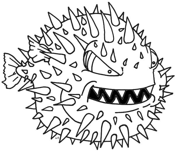 ocean puffer fish coloring pages free - photo #42