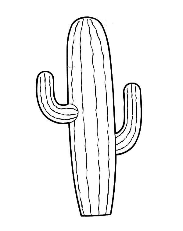 Simple Picture of Cactus Coloring Pages | Best Place to Color