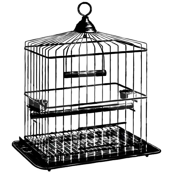 Sketch Of Bird Cage Coloring Pages | Best Place to Color