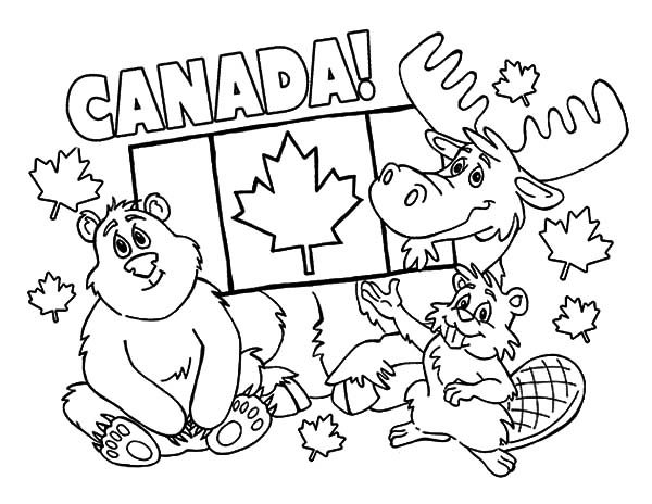canada animals coloring pages - photo #1