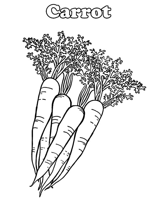 c is for carrot coloring pages - photo #2