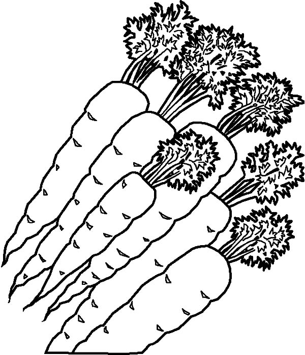 c is for carrot coloring pages - photo #43