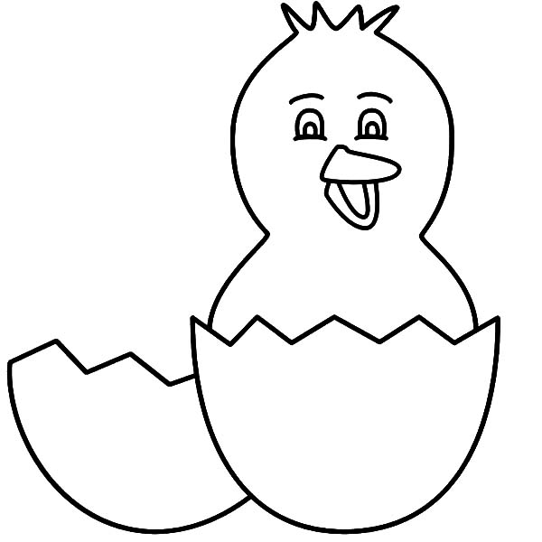 baby chick hatching coloring pages - photo #12