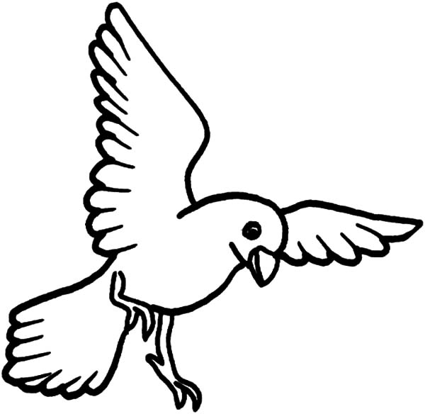 Free coloring pages of flying birds