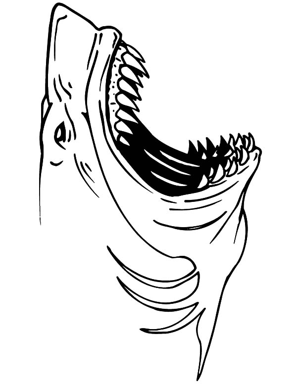 Jaws The Movie Coloring Page Coloring Pages Jaws The Movie Coloring Page Coloring Pages