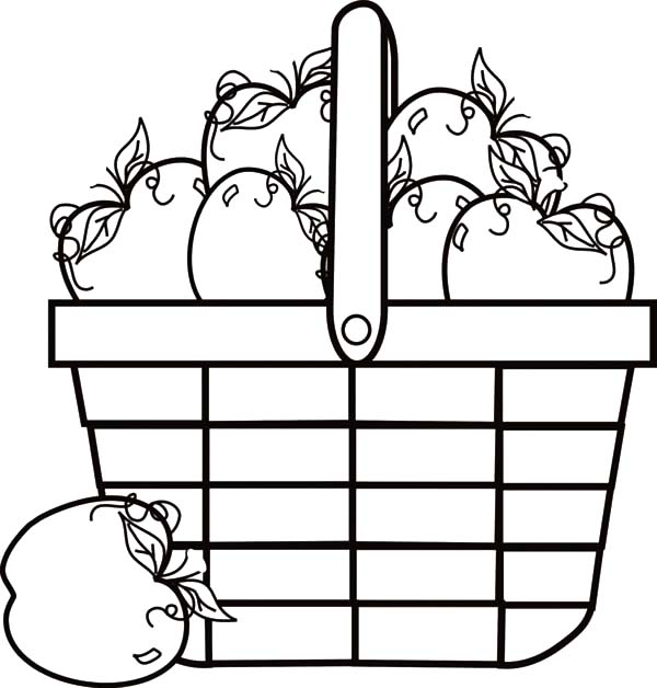 Apple Basket Full Of Apple Coloring Pages Best Place to Color