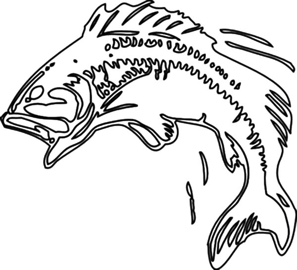 Bass Fish Body Print Coloring Pages