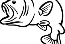 Bass Fish, Bass Fish Outline Coloring Pages: Bass Fish Outline Coloring Pages