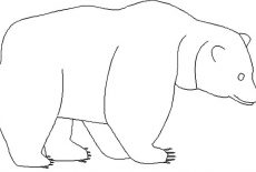 Brown Bear, Brown Bear Outline Coloring Pages: Brown Bear Outline Coloring Pages
