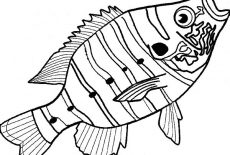 Bass Fish, Delicious Bass Fish Coloring Pages: Delicious Bass Fish Coloring Pages