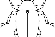 Beetle, Snout Beetle Coloring Pages: Snout Beetle Coloring Pages