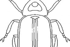 Beetle, The Weevils Beetle Coloring Pages: The Weevils Beetle Coloring Pages