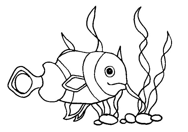 baby fish coloring pages portrait - photo #4