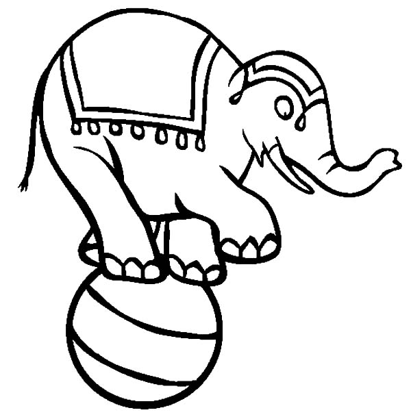 Circus Elephant Coloring Pages For Kids : Best Place to Color