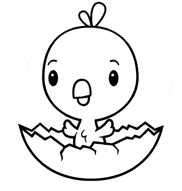 Cute Chick Hatching Coloring Pages | Best Place to Color